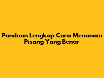 Panduan Lengkap Cara Menanam Pisang Yang Benar