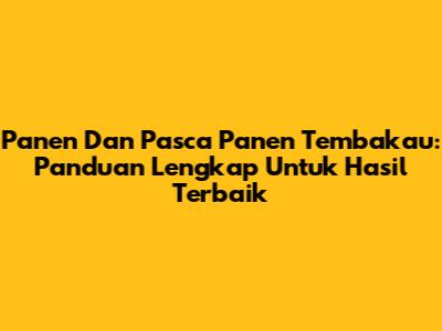 Panen Dan Pasca Panen Tembakau: Panduan Lengkap Untuk Hasil Terbaik