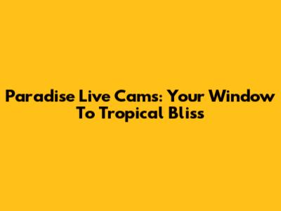 Paradise Live Cams: Your Window To Tropical Bliss