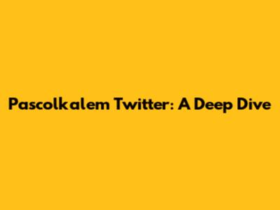 Pascolkalem Twitter: A Deep Dive