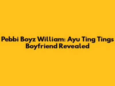 Pebbi Boyz William: Ayu Ting Ting's Boyfriend Revealed