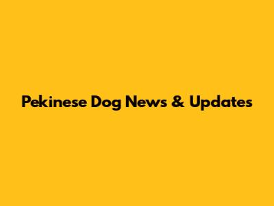 Pekinese Dog News & Updates