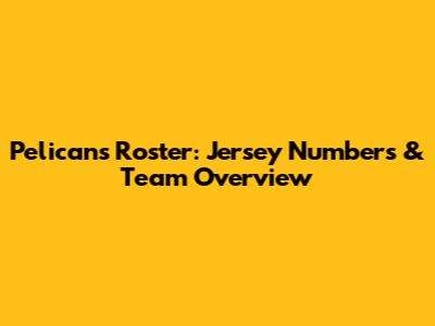 Pelicans Roster: Jersey Numbers & Team Overview