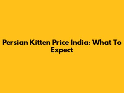 Persian Kitten Price India: What To Expect