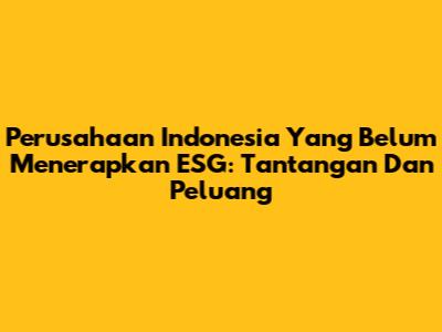 Perusahaan Indonesia Yang Belum Menerapkan ESG: Tantangan Dan Peluang