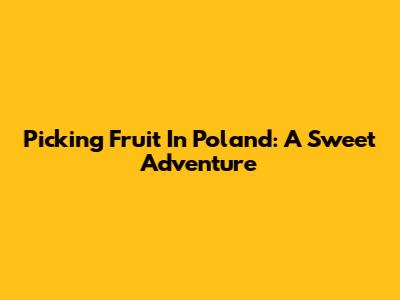 Picking Fruit In Poland: A Sweet Adventure