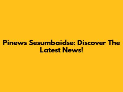 Pinews Sesumbaidse: Discover The Latest News!