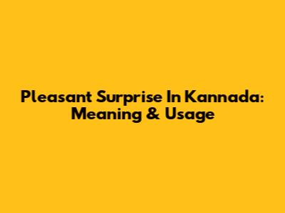 Pleasant Surprise In Kannada: Meaning & Usage