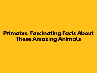Primates: Fascinating Facts About These Amazing Animals