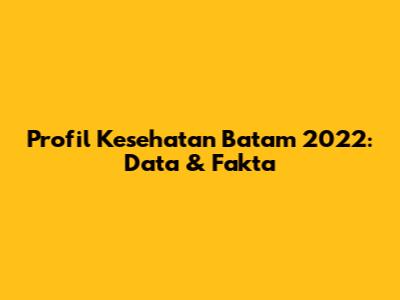 Profil Kesehatan Batam 2022: Data & Fakta
