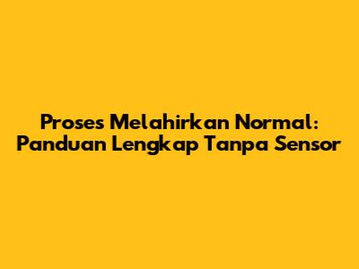 Proses Melahirkan Normal: Panduan Lengkap Tanpa Sensor