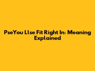 PseYou Llse Fit Right In: Meaning Explained