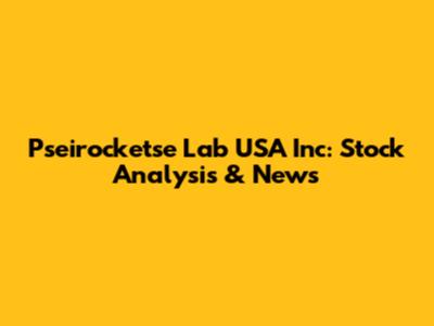Pseirocketse Lab USA Inc: Stock Analysis & News