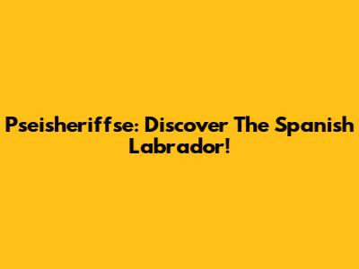 Pseisheriffse: Discover The Spanish Labrador!