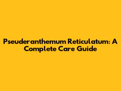 Pseuderanthemum Reticulatum: A Complete Care Guide
