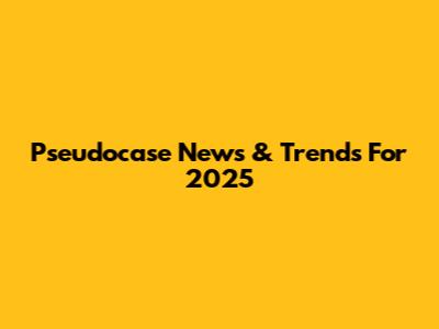 Pseudocase News & Trends For 2025
