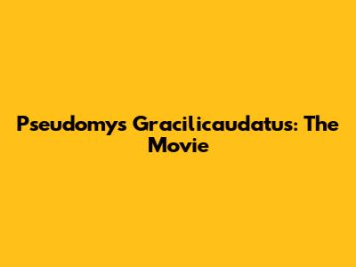 Pseudomys Gracilicaudatus: The Movie