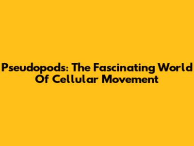 Pseudopods: The Fascinating World Of Cellular Movement