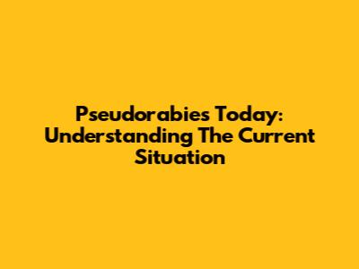 Pseudorabies Today: Understanding The Current Situation