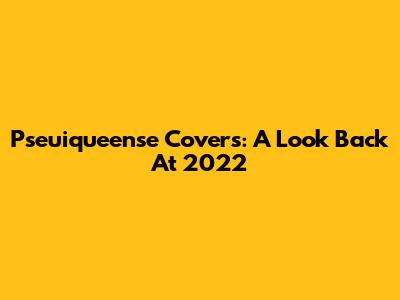 Pseuiqueense Covers: A Look Back At 2022