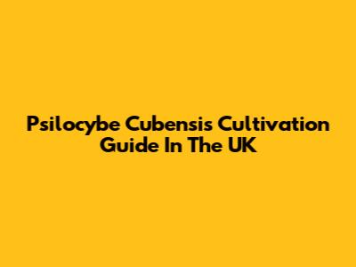 Psilocybe Cubensis Cultivation Guide In The UK
