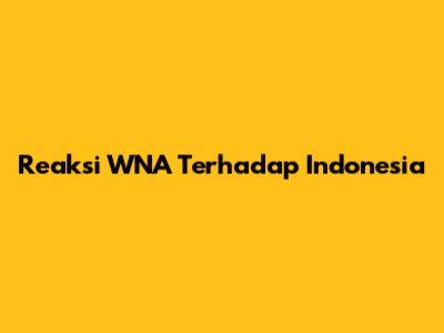 Reaksi WNA Terhadap Indonesia