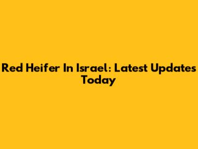 Red Heifer In Israel: Latest Updates Today