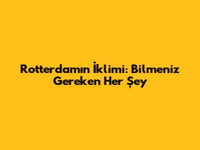 Rotterdam'ın İklimi: Bilmeniz Gereken Her Şey