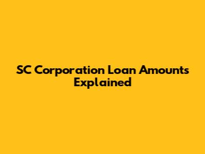 SC Corporation Loan Amounts Explained