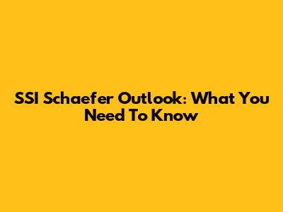 SSI Schaefer Outlook: What You Need To Know