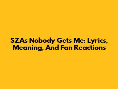 SZA's 'Nobody Gets Me': Lyrics, Meaning, And Fan Reactions