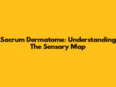 Sacrum Dermatome: Understanding The Sensory Map