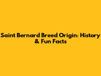 Saint Bernard Breed Origin: History & Fun Facts