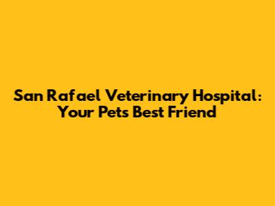 San Rafael Veterinary Hospital: Your Pet's Best Friend