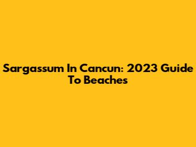 Sargassum In Cancun: 2023 Guide To Beaches