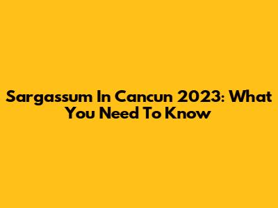 Sargassum In Cancun 2023: What You Need To Know