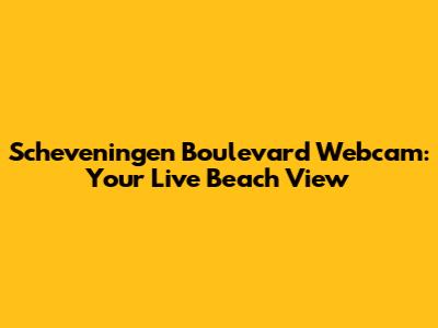 Scheveningen Boulevard Webcam: Your Live Beach View