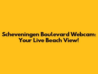 Scheveningen Boulevard Webcam: Your Live Beach View!