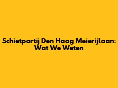Schietpartij Den Haag Meierijlaan: Wat We Weten