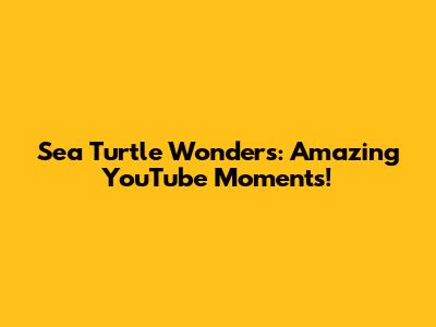 Sea Turtle Wonders: Amazing YouTube Moments!