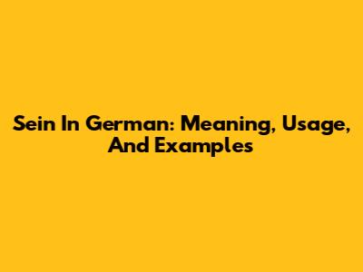 Sein In German: Meaning, Usage, And Examples