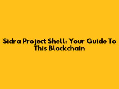 Sidra Project Shell: Your Guide To This Blockchain