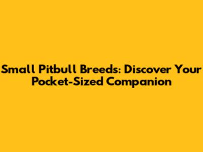 Small Pitbull Breeds: Discover Your Pocket-Sized Companion