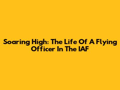Soaring High: The Life Of A Flying Officer In The IAF