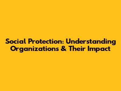 Social Protection: Understanding Organizations & Their Impact