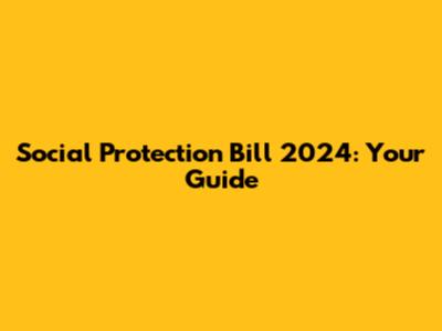 Social Protection Bill 2024: Your Guide