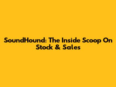 SoundHound: The Inside Scoop On Stock & Sales