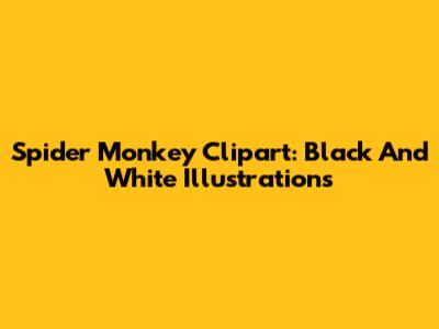 Spider Monkey Clipart: Black And White Illustrations
