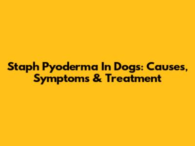 Staph Pyoderma In Dogs: Causes, Symptoms & Treatment