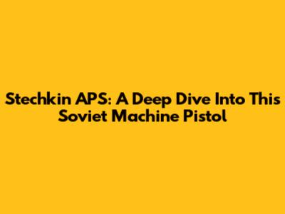 Stechkin APS: A Deep Dive Into This Soviet Machine Pistol